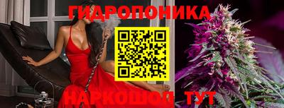 стаф Балаково
