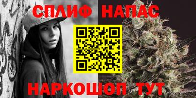 стаф Балаково