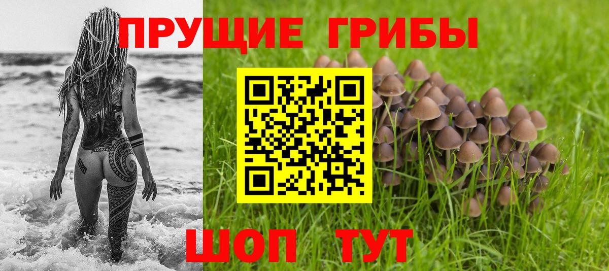 Псилоцибиновые грибы мухоморы  Вход с VPN  Ессентуки  Псилоцибиновые грибы Cubensis 