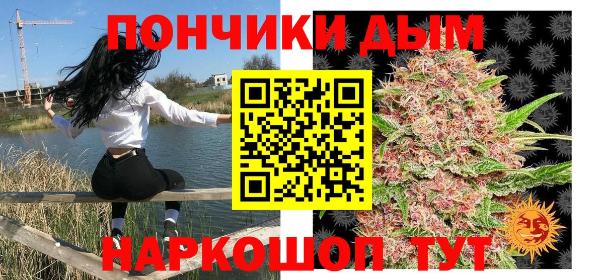 Конопля марихуана Ессентуки